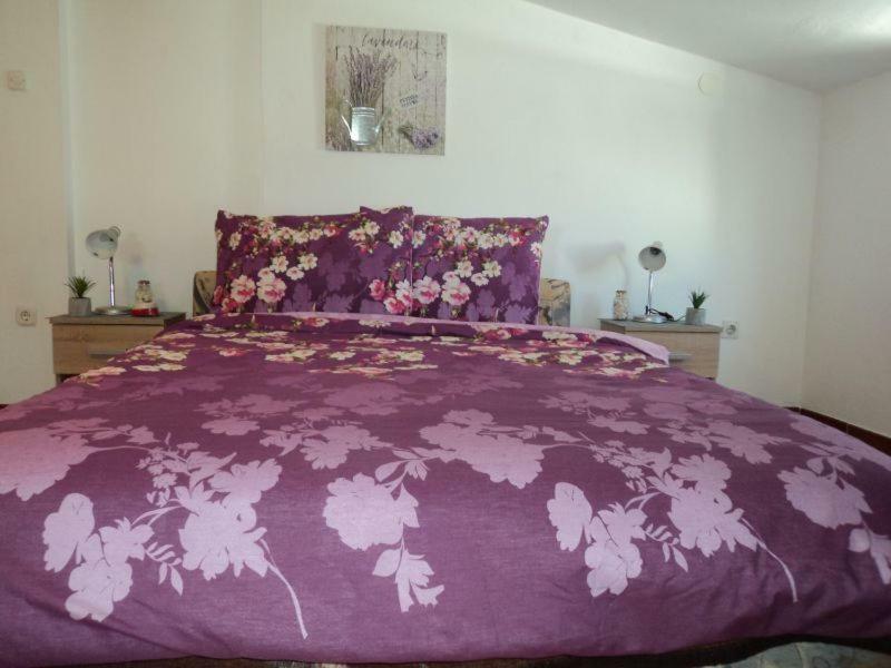 Studio Apartments Ana Rovinj Exterior foto